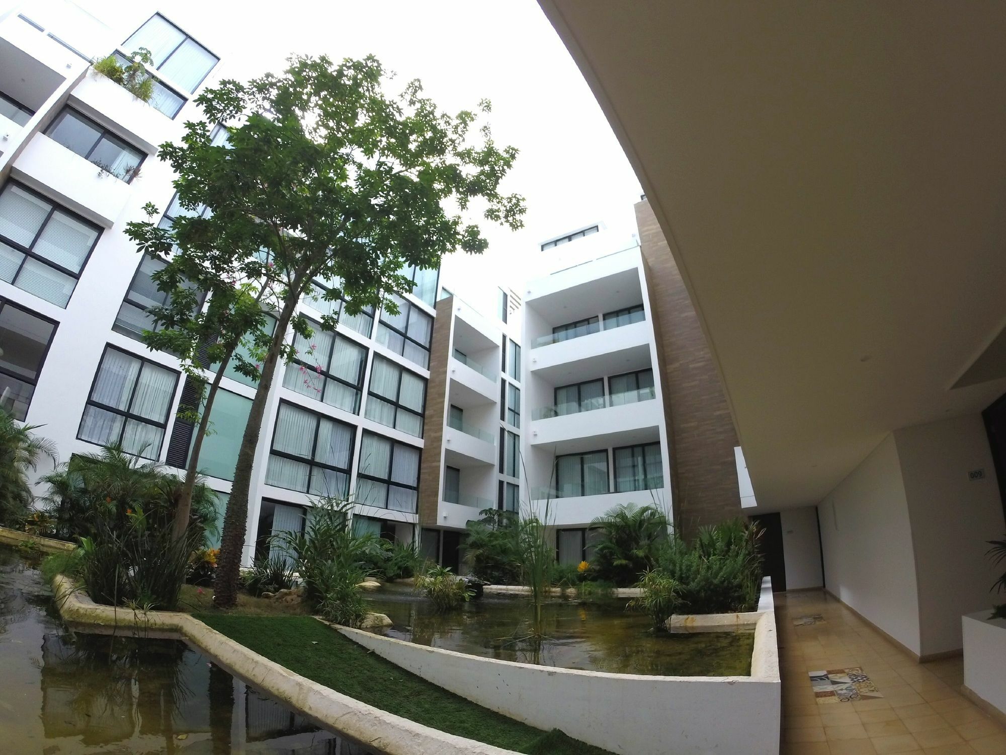 Anah Luxury Condos By Baitna بلايا ديل كارمن المظهر الخارجي الصورة
